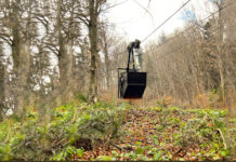 Funiculare produse la Reghin, folosite la hrănirea urșilor. 60 de urși din Brașov vor fi hrăniți fără contact uman