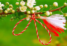 Braşovenii, invitaţi să-şi atârne dorinţele într-un Copac de Mărţişor