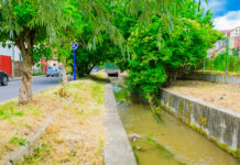 90.000 de euro pentru revitalizarea canalului Timiș: Cum va arăta noua promenadă din Brașov