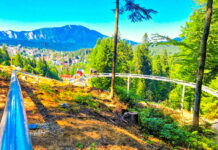 Mountain Coaster la Predeal – cât costă și cum arată noua atracție de lângă pârtia Clăbucet